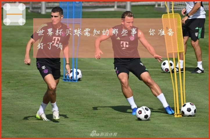 世界杯买球需知的那些事，你准备好了吗