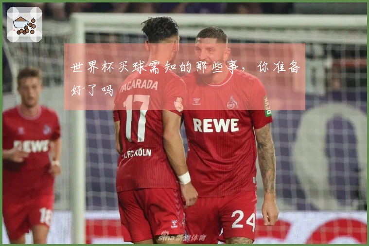 世界杯买球需知的那些事，你准备好了吗