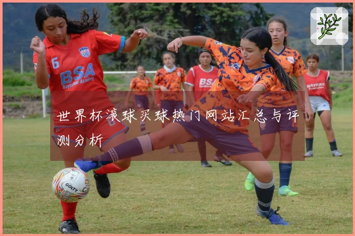 世界杯滚球买球热门网站汇总与评测分析