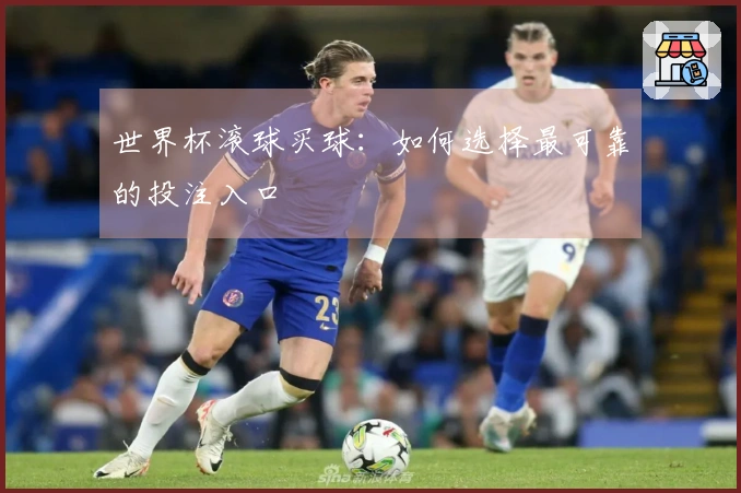 世界杯滚球买球：如何选择最可靠的投注入口