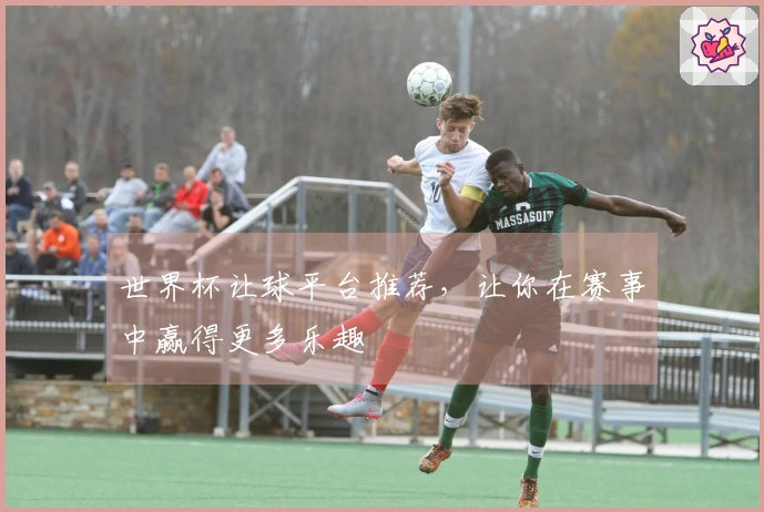 世界杯让球平台推荐，让你在赛事中赢得更多乐趣