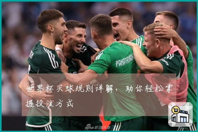 世界杯买球规则详解，助你轻松掌握投注方式