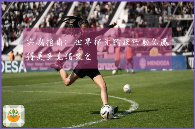 实战指南：世界杯竞猜技巧助你赢得更多竞猜奖金