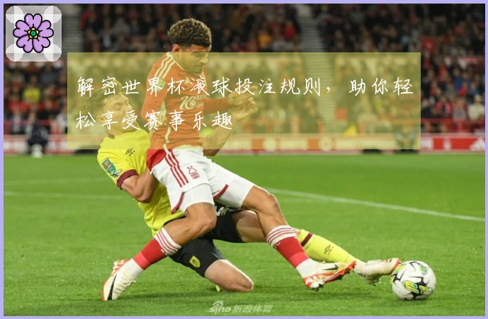 解密世界杯滚球投注规则，助你轻松享受赛事乐趣