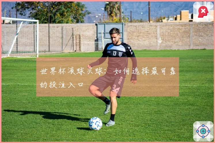 世界杯滚球买球：如何选择最可靠的投注入口