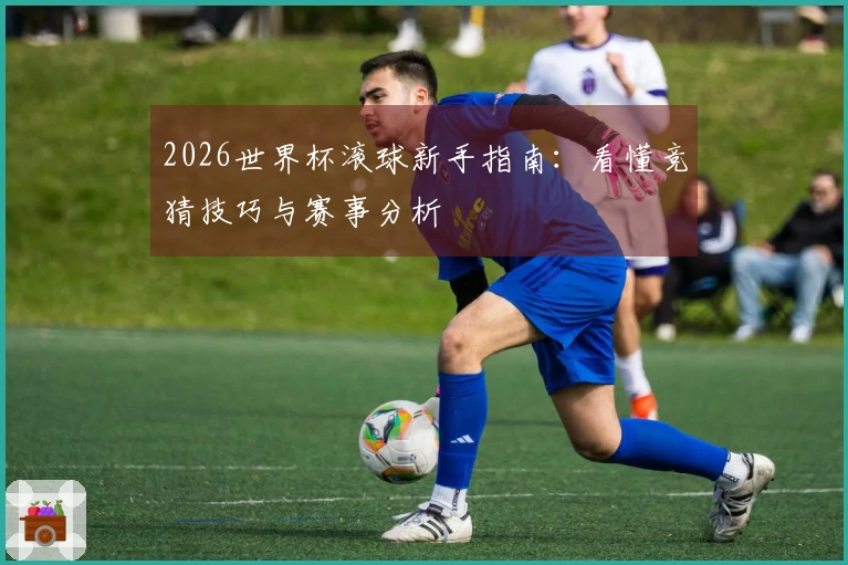 2026世界杯滚球新手指南：看懂竞猜技巧与赛事分析