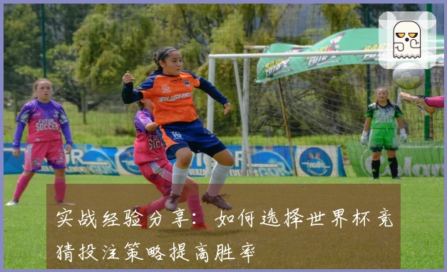 实战经验分享：如何选择世界杯竞猜投注策略提高胜率