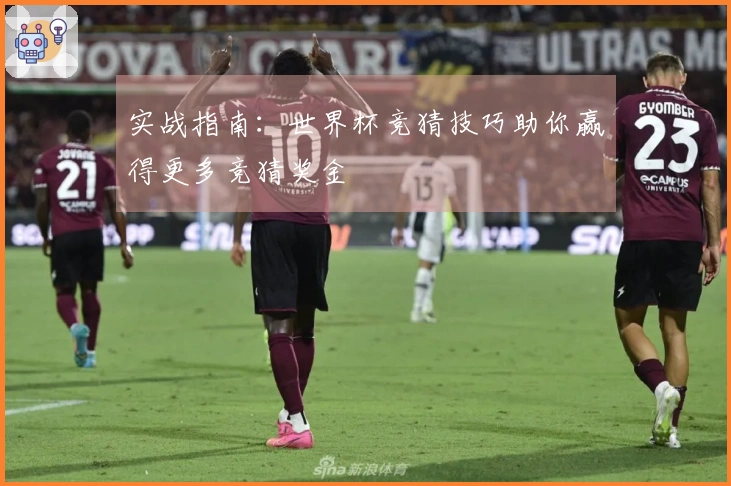 实战指南：世界杯竞猜技巧助你赢得更多竞猜奖金