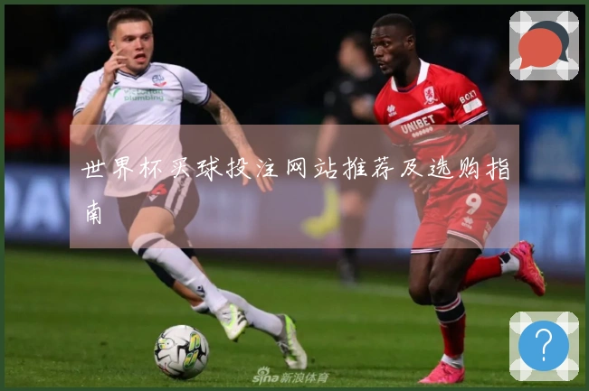 世界杯买球投注网站推荐及选购指南